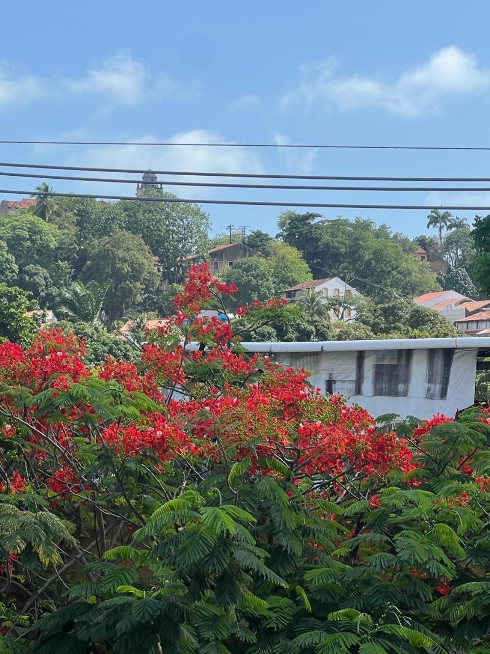 Pousada Do Leo Olinda Exterior foto